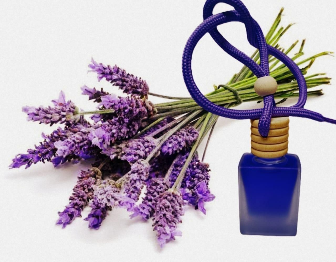 Luxury Hanging Car Perfume Pod Diffuser – Essential Oil Air Freshener (Assorted Scents, 10ml) - UrbanZelvia